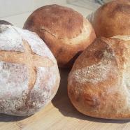 Sourdough cob loaf