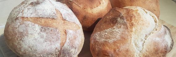 Sourdough cob loaf