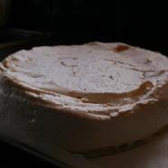 Pavlova