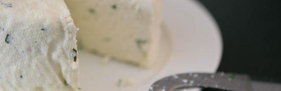 Fresh Cheese with herbs