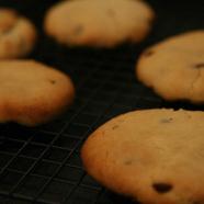 Choc Chip Biscuits